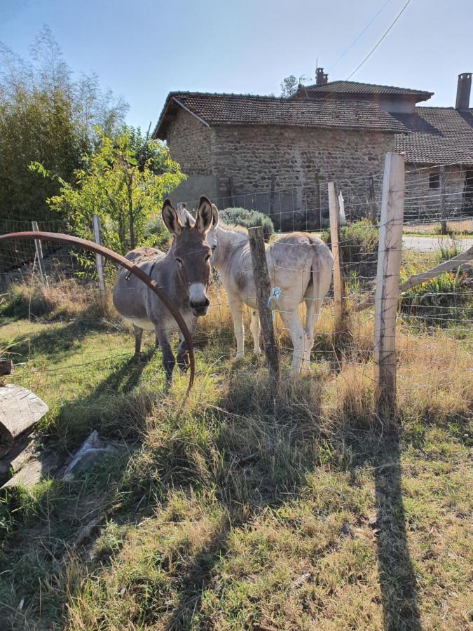 Les Figuets Villa Chateauneuf-de-Galaure Eksteriør billede
